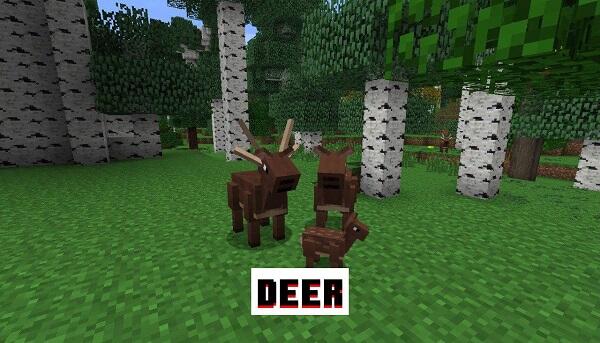 Download Minecraft 1.21.0, 1.21.1 and 1.21.2 apk free: MCPE 1.21